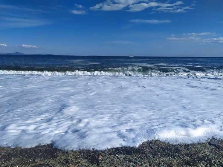 Экологи в шоке: во Владивостоке построят нефтеналивной причал для северного завоза