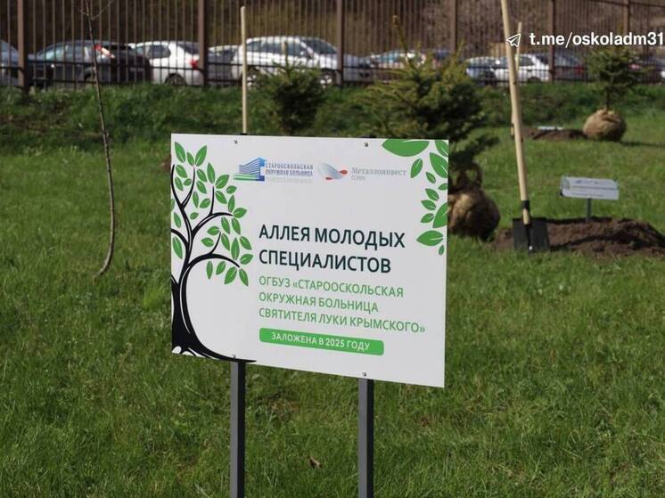 В Старооскольской окружной больнице открыли аллею молодых специалистов