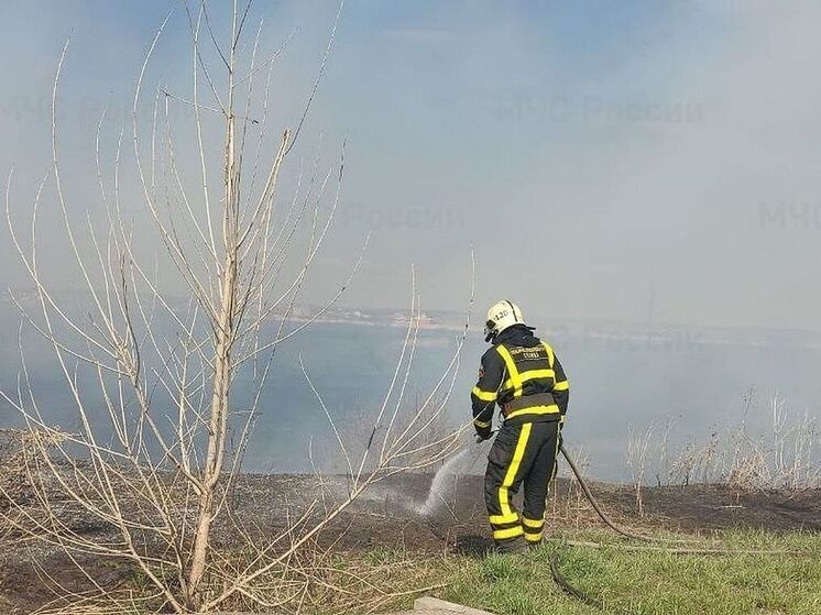 Появились кадры эвакуации детсада в Самарской области из-за ландшафтного пожара