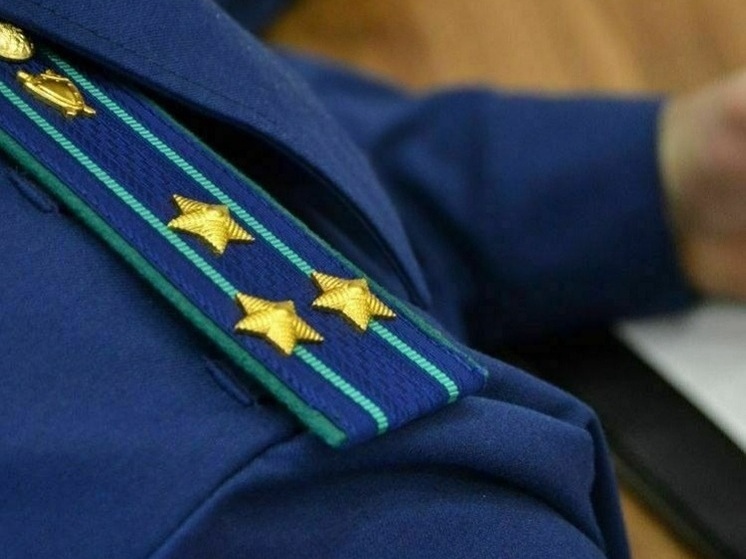 Прокуратура Липецкой области защитила права матери участника СВО
