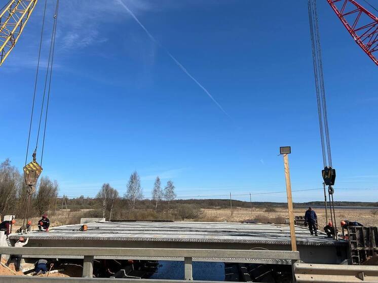 Работы по капитальному ремонту моста через реку Романовка проходят в Палкинском районе