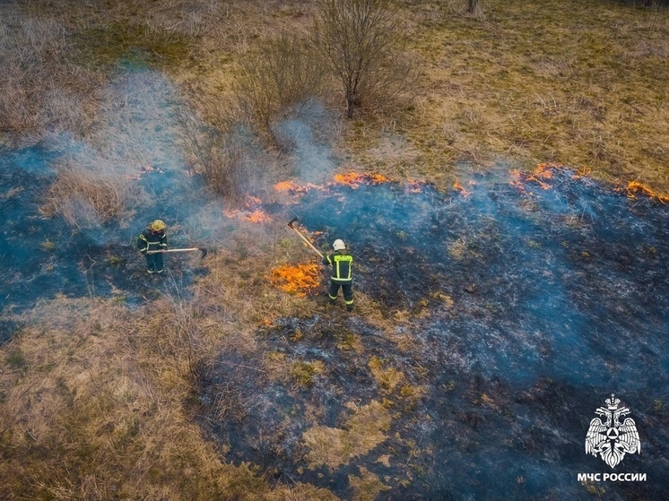 В Смоленской области продолжается борьба с палами травы