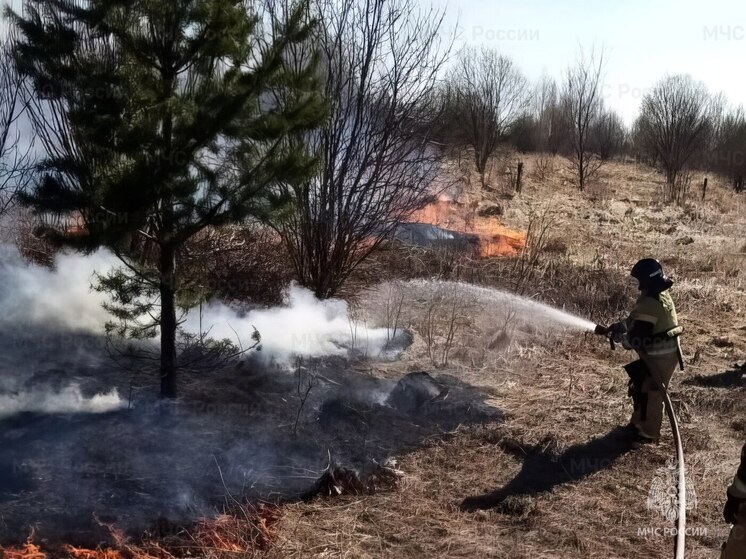 С начала весны в Чувашии зафиксировано 74 возгорания сухой травы