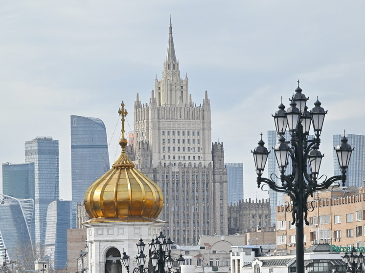 МИД: задержанных в московском банном комплексе подозревают в связях с радикалами