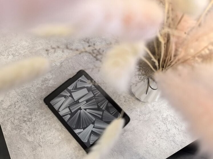 Хабаровчане стали больше читать книги на самиздат-площадках