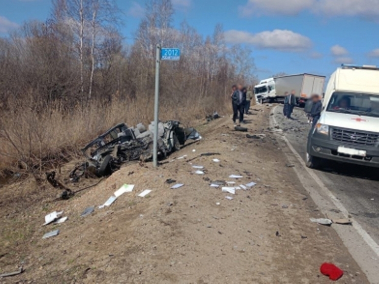 На трассе в ЕАО легковое авто после столкновения с грузовиком превратилось в груду металла