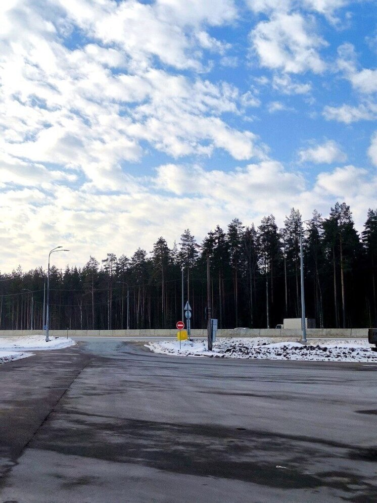 Междугородний автобус въехал в лося на трассе «Хабаровск - Комсомольск»