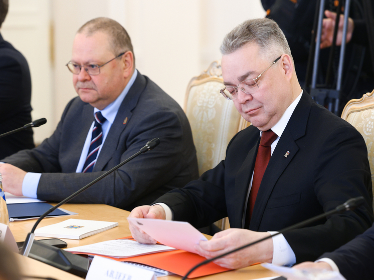 Губернатор Владимиров прокомментировал участие в заседании Совета глав субъектов при МИД России: «Россия становится все более привлекательной для жизни»