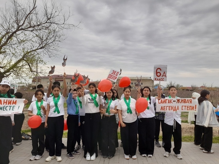 В райцентре Калмыкии прошел экологический парад