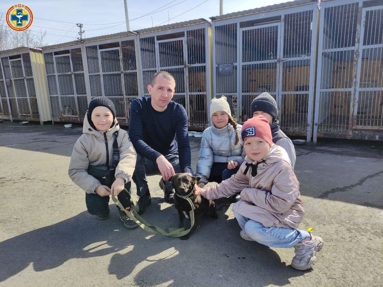 Школьники из Чурачикской школы познакомились с четвероногими обитателями приюта