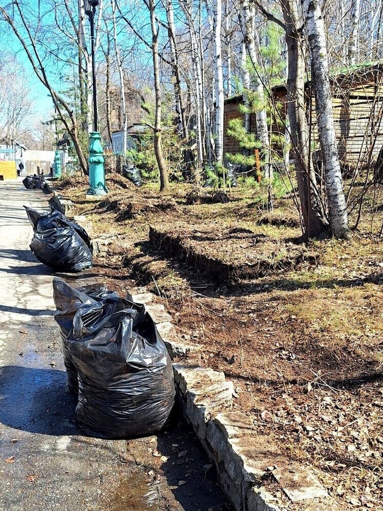 Зоосад «Приамурский» принял участие в городском субботнике
