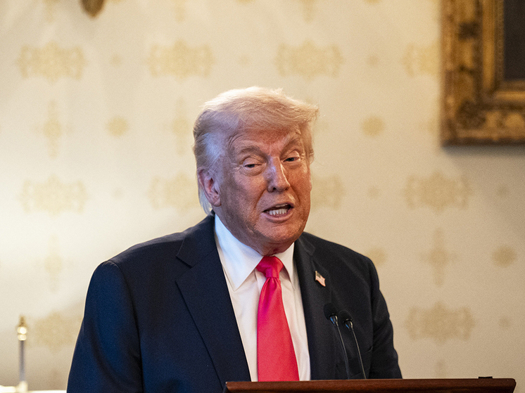 Американские вузы пытаются противостоять нападкам администрации Трампа на академические свободы