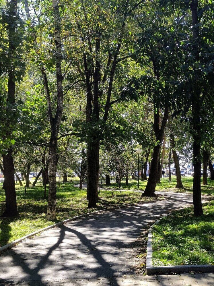 Жители Хабаровска смогут оценить качество благоустройства скверов через QR-код