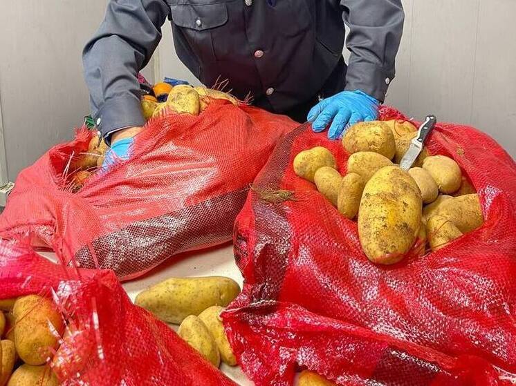 В Краснодарском крае нашли картофельную моль в 7 партиях импортных продуктов