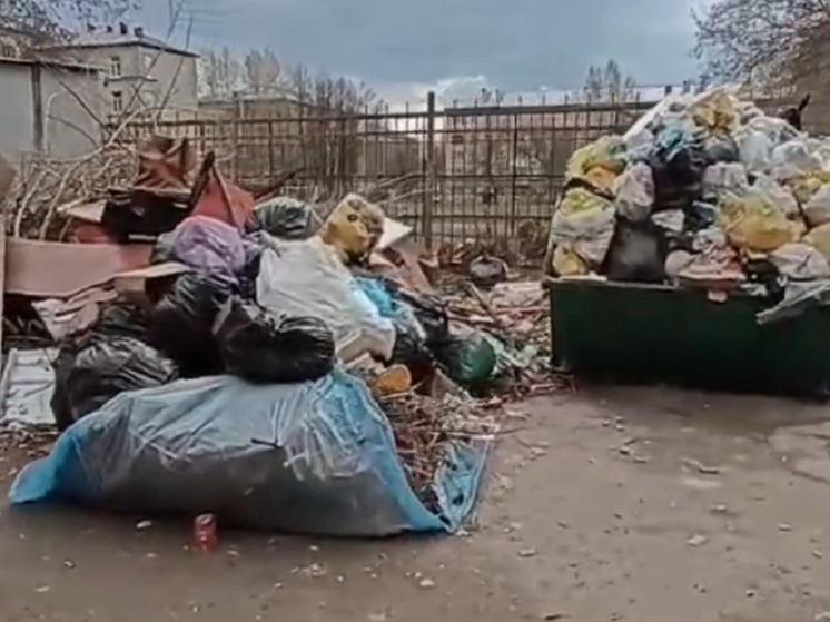В Барнауле на Потоке между многоэтажками и школой «выросла» свалка