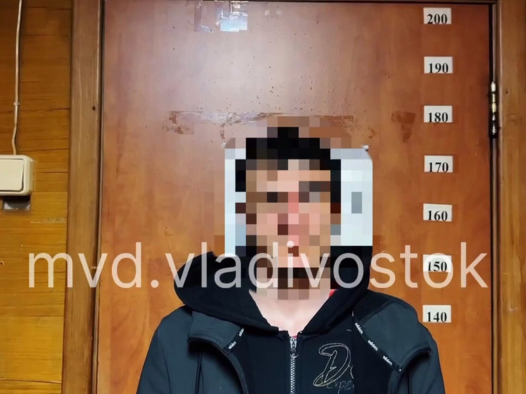 Пьяный 19-летний без прав пытался угнать Nissan для ночлега во Владивостоке