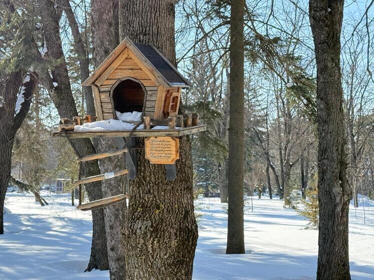 В Кисловодске подвели итоги городского конкурса скворечников