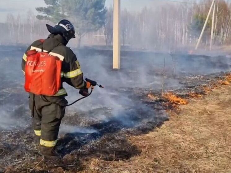 Пал сухой травы в 2 округах пришлось тушить огнеборцам
