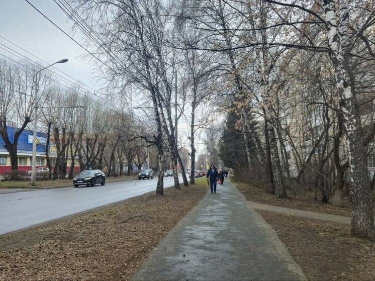 В Томске 18 апреля похолодает до +2 градусов