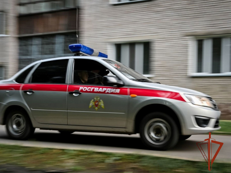  В Черногорске трехлетний мальчик потерял сознание после падения на детской площадке