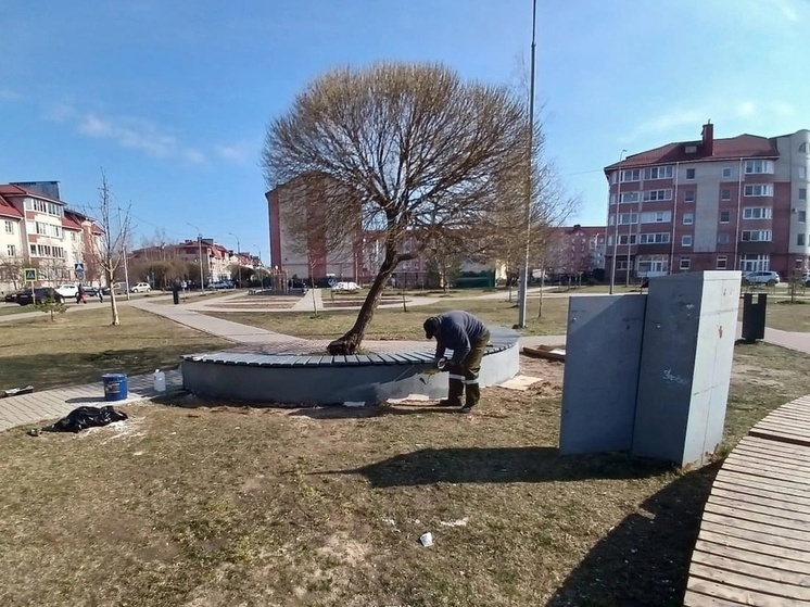 В Великом Новгороде отремонтировали скамейки в сквере имени Каберова