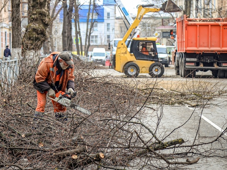 В 13 муниципальных образованиях Крыма завершили санитарную обрезку деревьев