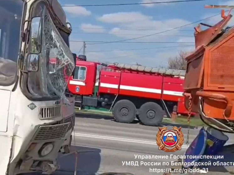 В Белгороде столкнулись автобус и эвакуатор: пострадали три человека