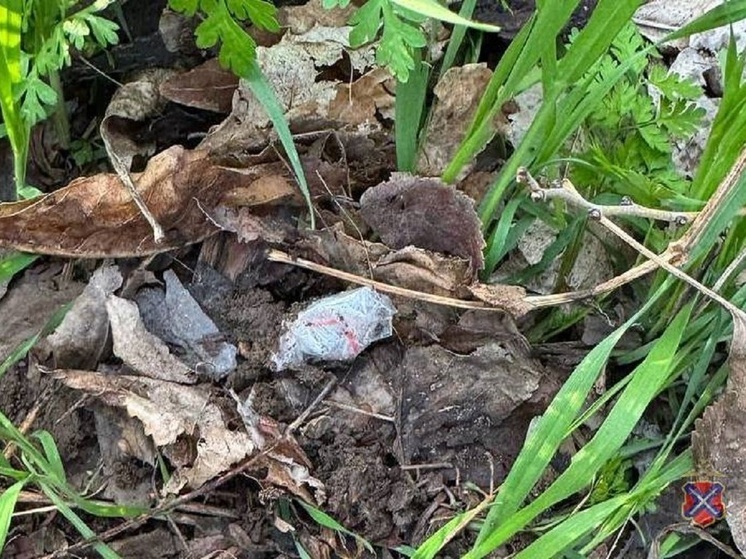 Силовики задержали жителя Волгоградской области с крупной партией наркотиков