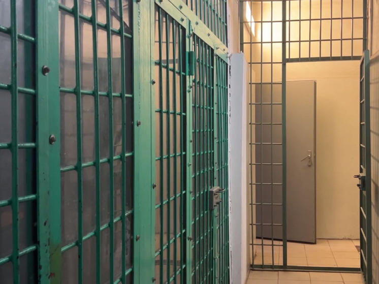 В Мытищах будут судить четверых мигрантов за избиение подростков