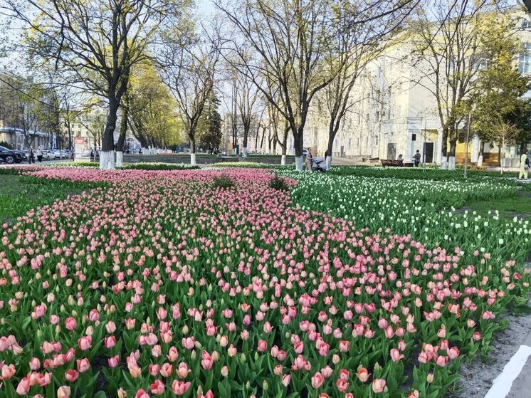 Белгородцев ждет теплая пятница