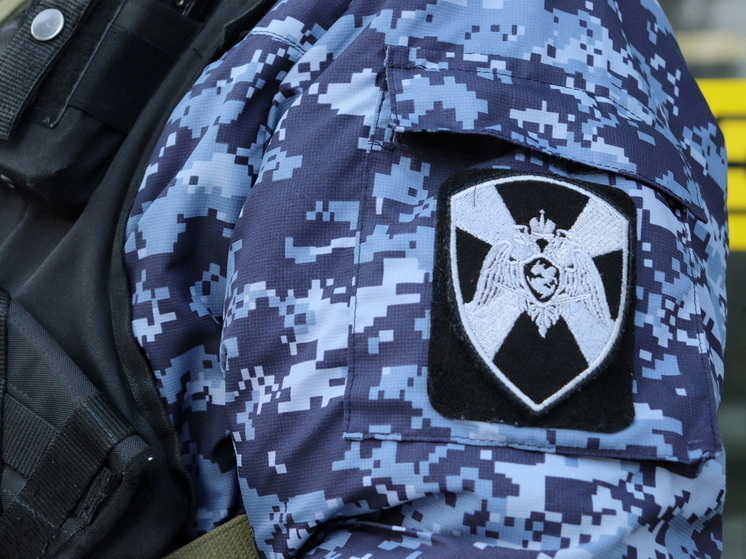 В Сернуре росгвардейцы задержали подозреваемых в краже из магазина