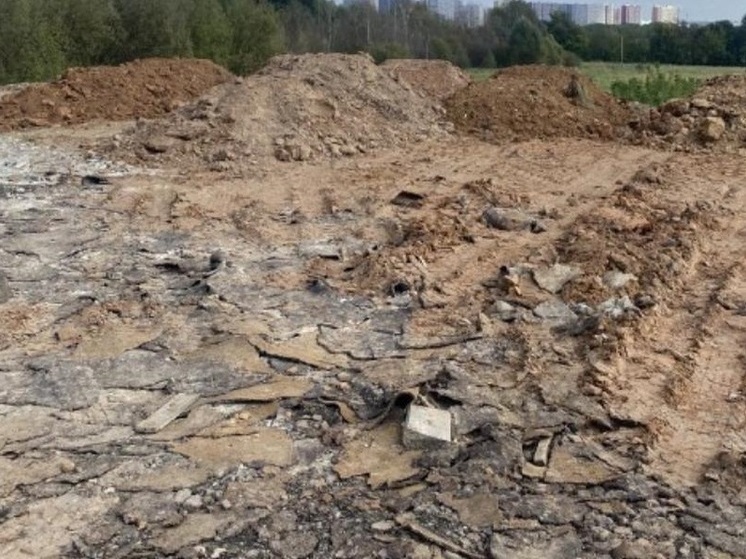 Суд обязал возместить ущерб от незаконной свалки в Луховицах