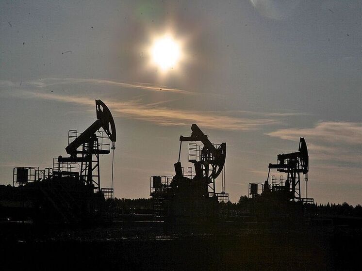 Ceske Noviny: Чехия стала закупать нефть у Италии вместо России