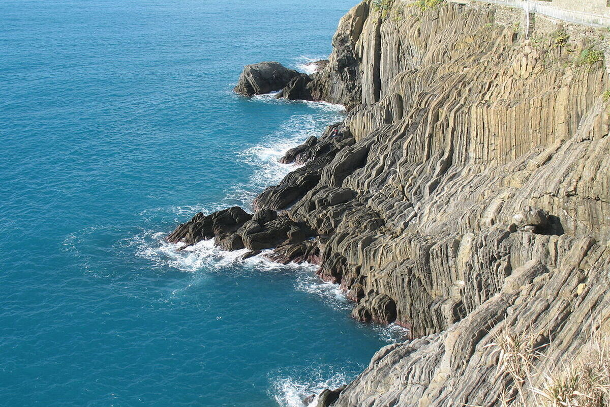 Фото: ru.wikipedia.org 