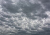 Прогноз составлен по данным Apple Weather