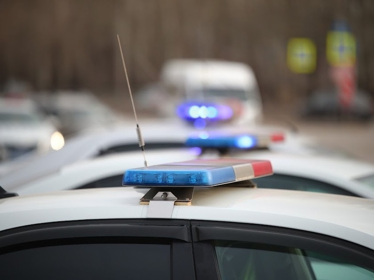  Под Волгоградом «Лексус» влетел в дерево и загорелся, пострадали 2 человека