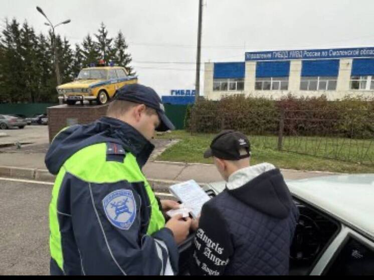Госавтоинспекция Смоленска проведет "сплошные проверки"
