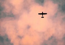 Гражданин США погиб во время неудачной попытки угона легкомоторного самолета, на борту которого находились 14 человек