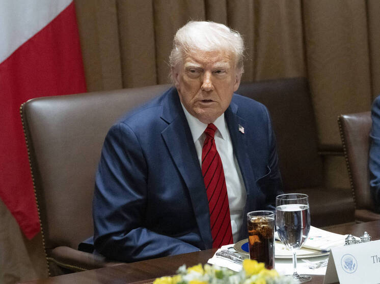 Трамп заявил, что получение гражданства по рождению изначально было связано с рабством