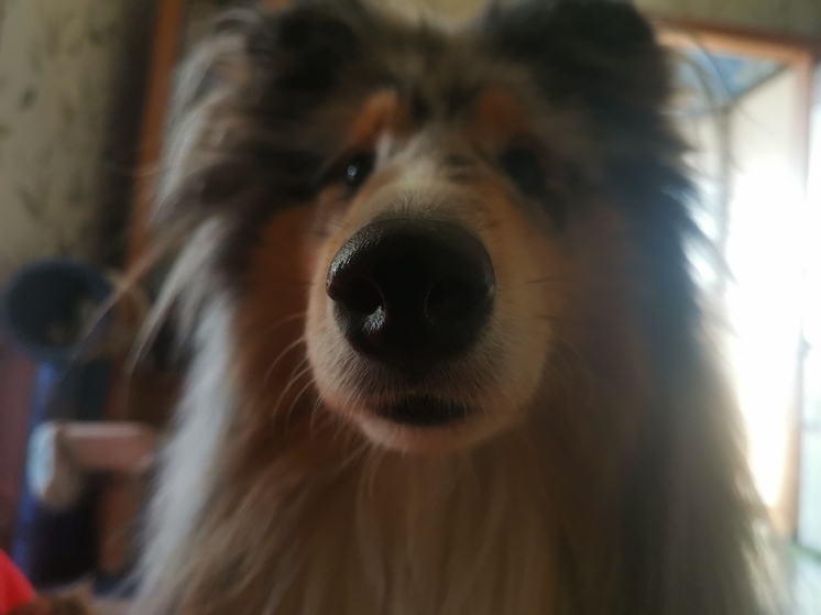 Циклон обрушится на Приморье: сильные дожди и порывистый ветер ожидают жителей региона