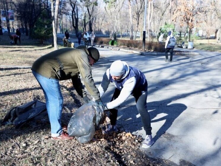 Депутаты Закдумы собрали мусор на участке Уссурийского бульвара от Шеронова до Дзержинского