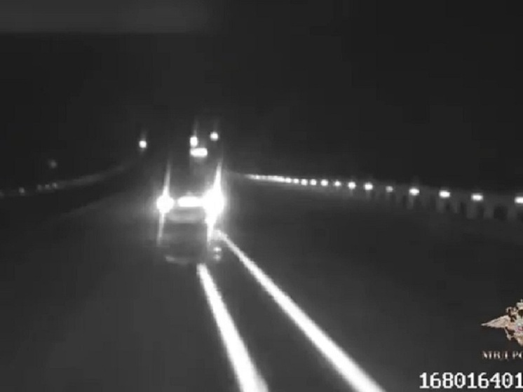 Пьяного водителя в Тайшете остановили стрельбой по колёсам