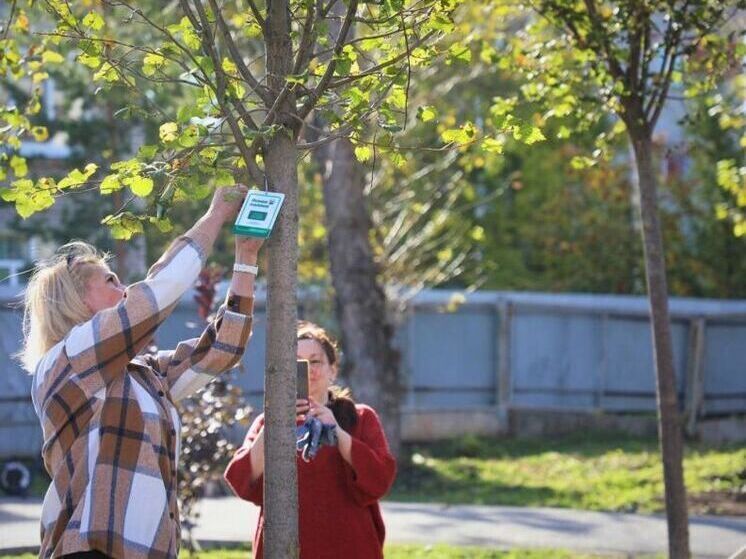 В Уфе высадят больше 3,3 тысячи деревьев