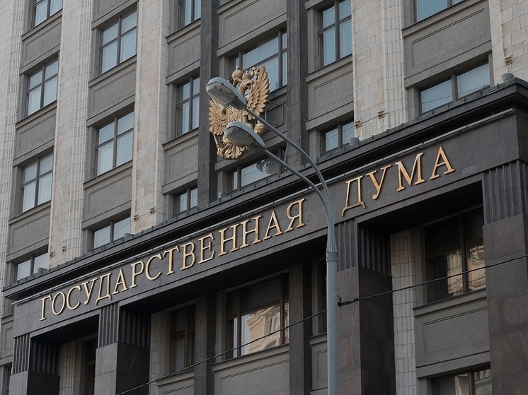 Депутат Свинцов исключил замену чиновников высшего звена на ИИ