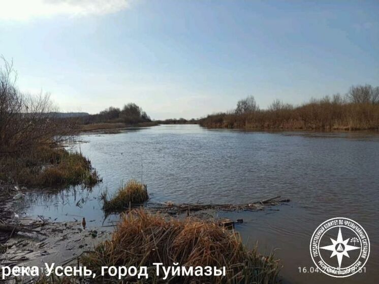 Три реки в Башкирии показали подъем уровня воды