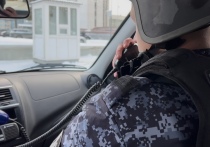 Сотрудники Росгвардии задержали в Асбесте местного жителя 1990 года рождения, который находится в федеральном розыске
