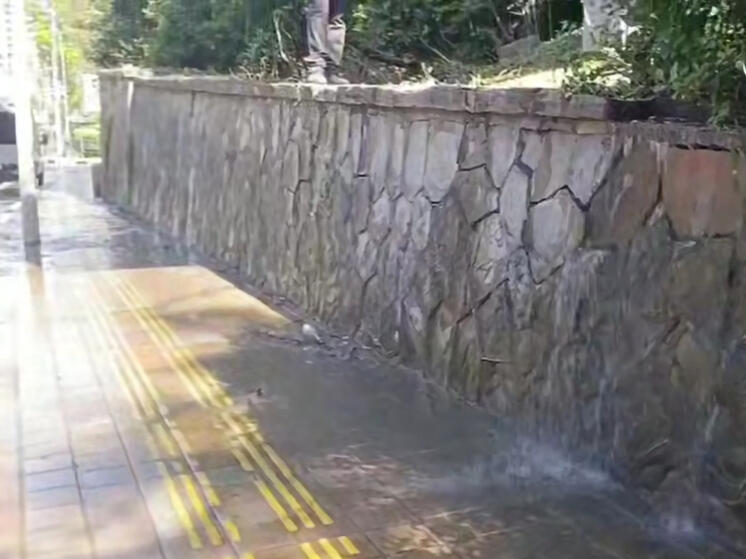 Водоканал объяснил причины засоров в канализации на Курортном проспекте Сочи