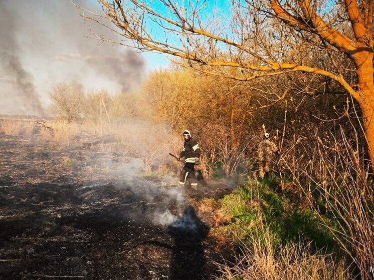 В ЛНР за сутки произошло 14 ландшафтных пожаров
