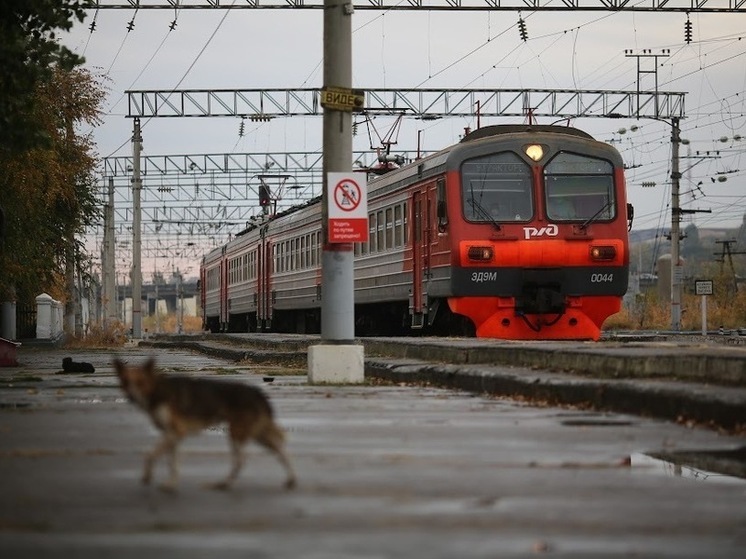 В Волгоградской области столкнулись легковой автомобиль и пригородный поезд