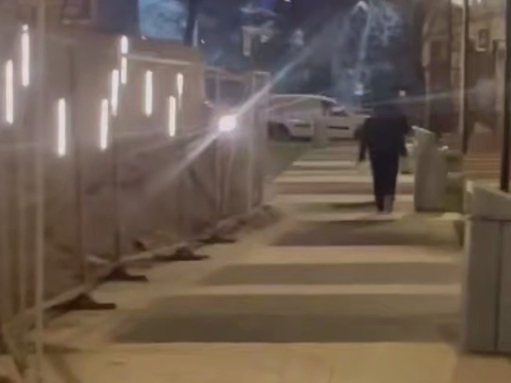 Полицейские задержали мужчину за кражу стройматериалов из сквера в Котельниках